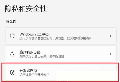 win11系统怎么开启开发者选项