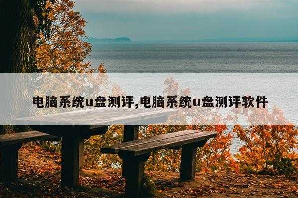 电脑系统u盘测评,电脑系统u盘测评软件