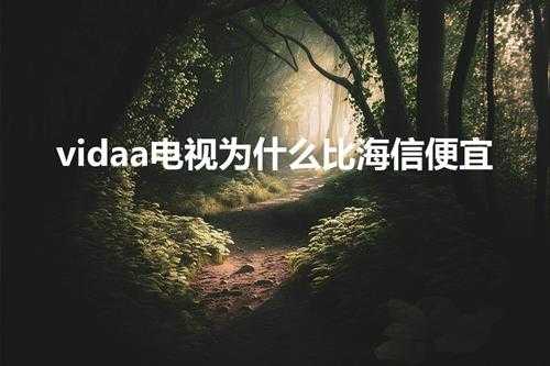 vidaa电视为什么比海信便宜（海信vidaa的缺点）