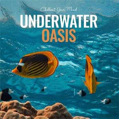 【休闲沙发】VA-2002-UnderwaterOasis：ChilloutYourMind(FLAC)