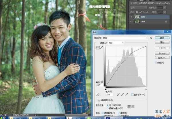 Photoshop给树林中外景婚片后期调出小清新色调