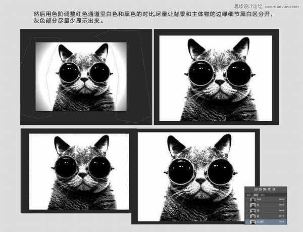 Photoshop使用通道给黑色猫咪抠图