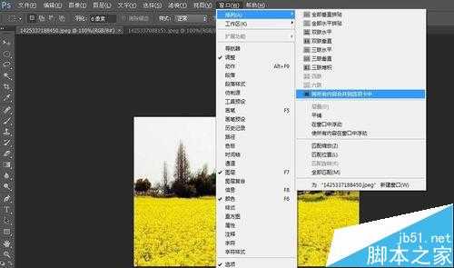 photoshop入门:图片的显示方式