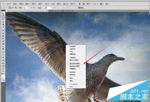 如何抠图?PS CS5中用钢笔抠图方法介绍