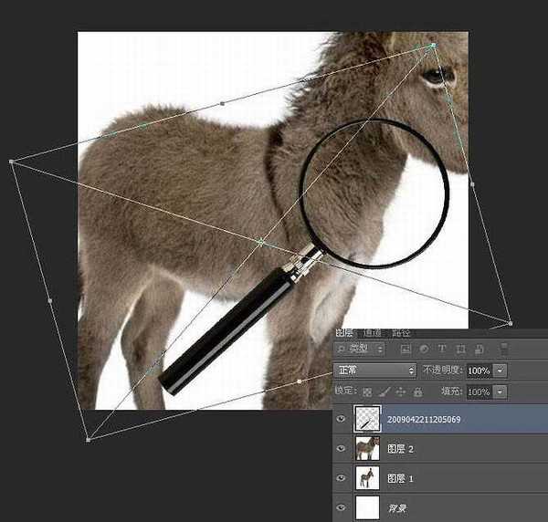 PS教程：制作有趣的放大镜扫视小毛驴图片动画效果教程