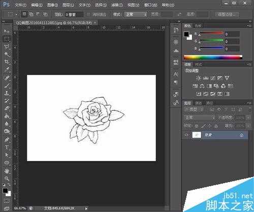 用Photoshop给简笔画玫瑰花涂上颜色步骤