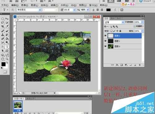 PS CS3中怎么给睡莲制作下雨gif动画效果?